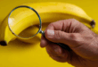 Nano-banana Google recherche