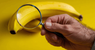 Nano-banana Google recherche