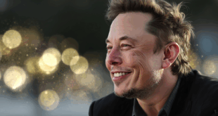 Elon Musk : Grok et la quête de l’amour