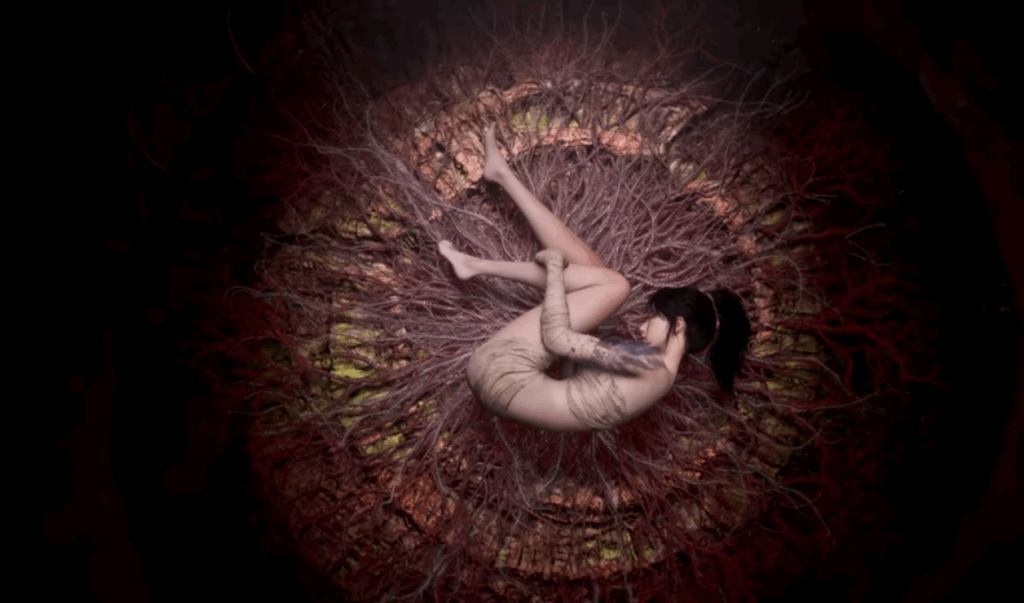 Wuchang Fallen Feathers - extrait