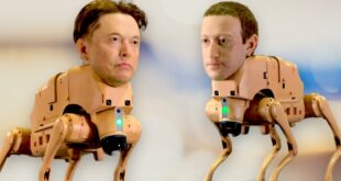 chiens robots avec la tête de Zuckerberg, Elon Musk