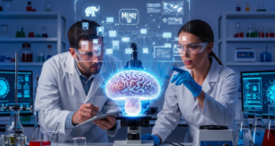 Champignons dotés de mémoire : adieu silicium, vive les ordinateurs bio !