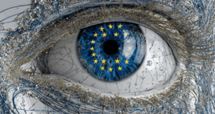 chat control avis experts