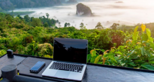 digital nomade salarié