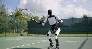 Un robot sur un court de tennis
