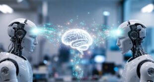 2 robots IA qui se partagent du savoir