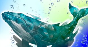 Baleine pour illustrer DeepSeek