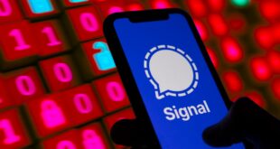 silhouette de main tenant un smartphone affichant Signal