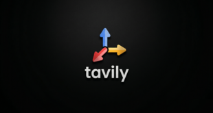 Image du logo de Tavily