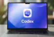 Logo de Codex sur PC pour évoquer l'extension Chrome