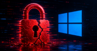 Microsoft certificats