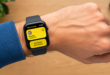 Apple Watch Talkie-Walkie